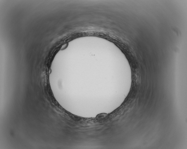 X0000110321493200906111441