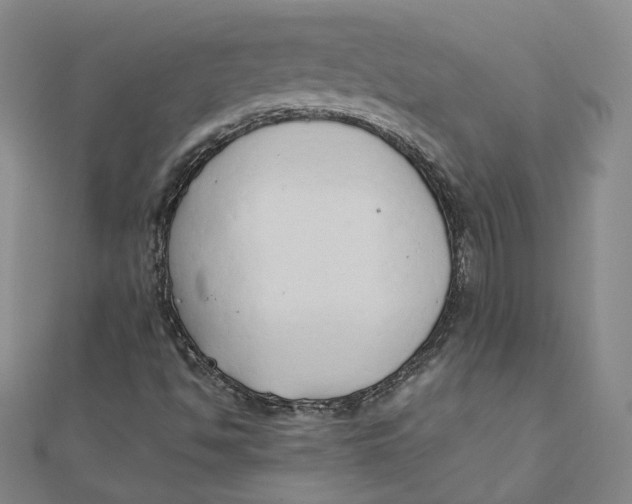 X0000110321494200906111441