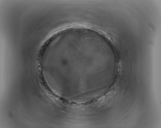 X0000110321496200906111441