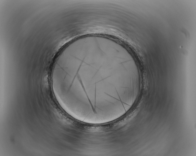 X0000110321497200906111441