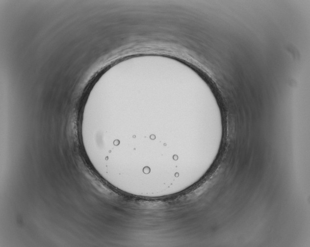 X0000110321498200906111441