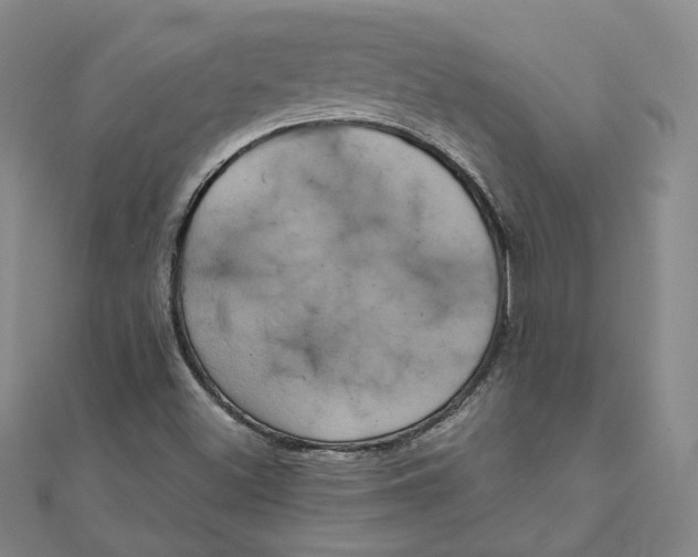 X0000110321500200906111441