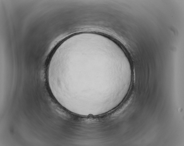 X0000110321501200906111441