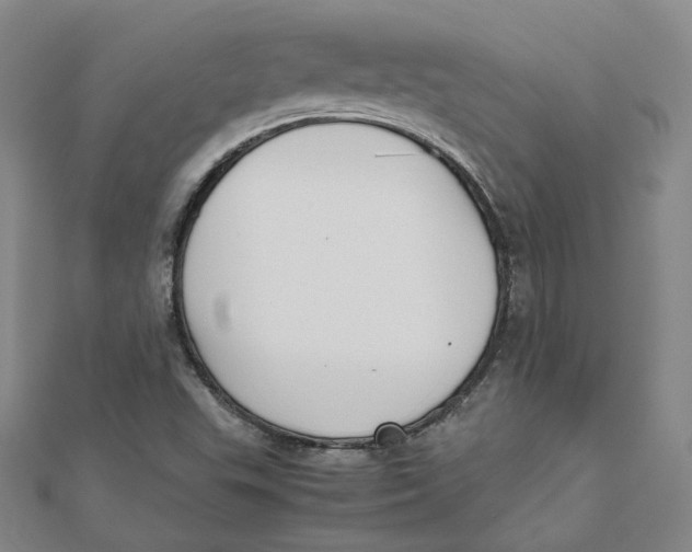 X0000110321503200906111441