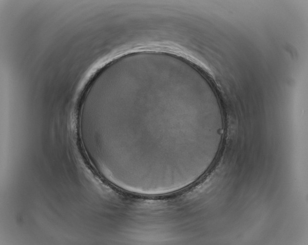 X0000110321506200906111441