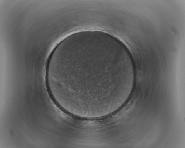 X0000110321508200906111442