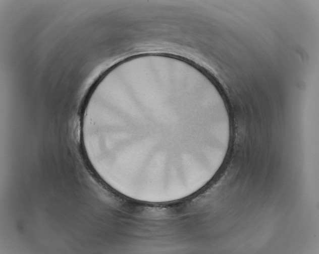 X0000110321509200906111442