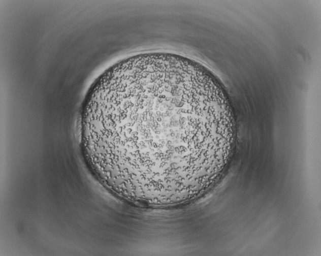 X0000110321510200906111442