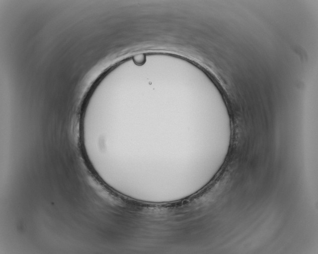 X0000110321511200906111442