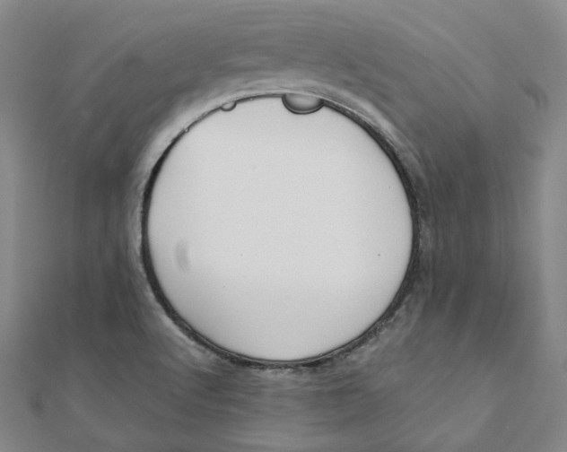 X0000110321512200906111442