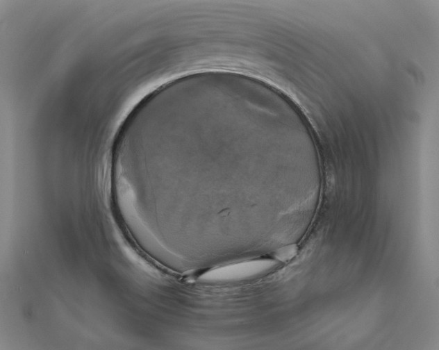 X0000110321515200906111442