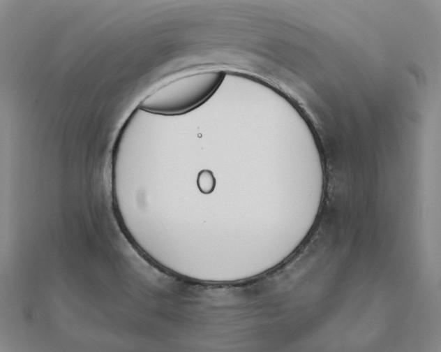 X0000110321516200906111442