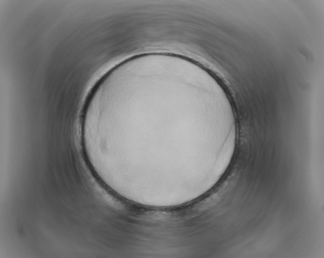 X0000110321517200906111442