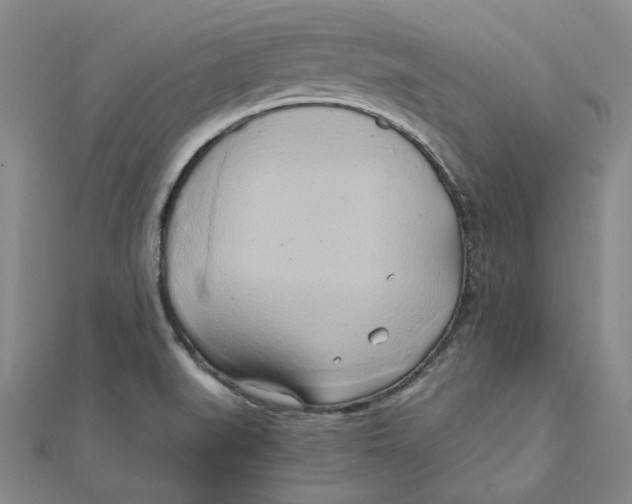 X0000110321519200906111442