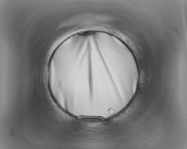 X0000110321520200906111442