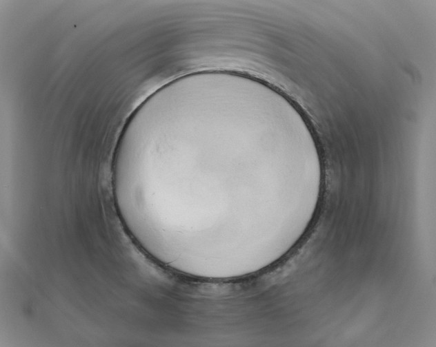 X0000110321521200906111442