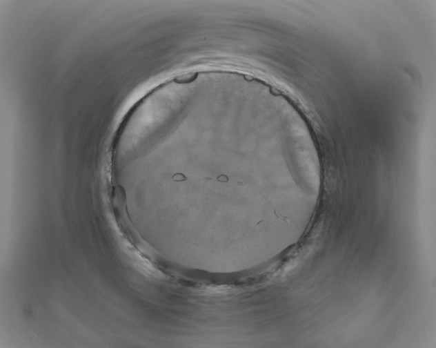 X0000110321522200906111442