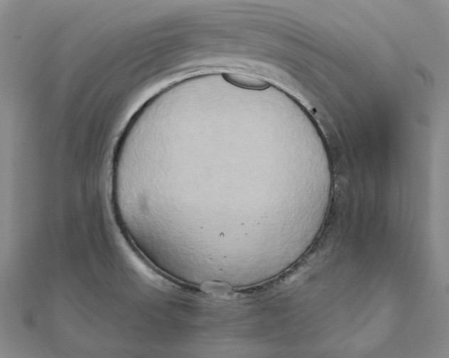 X0000110321523200906111442