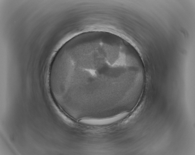 X0000110321525200906111442