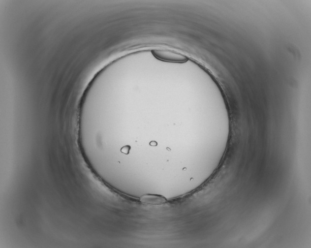 X0000110321526200906111442