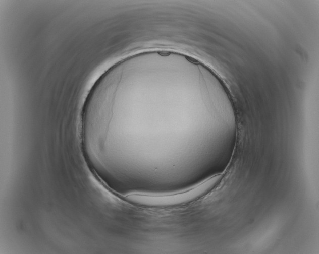 X0000110321527200906111442