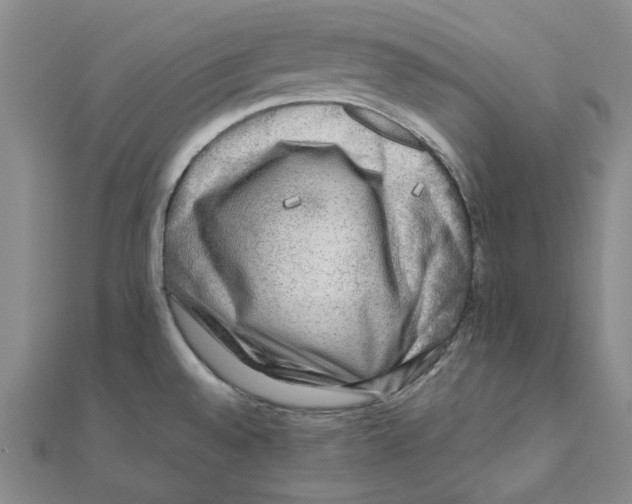 X0000110321528200906111442