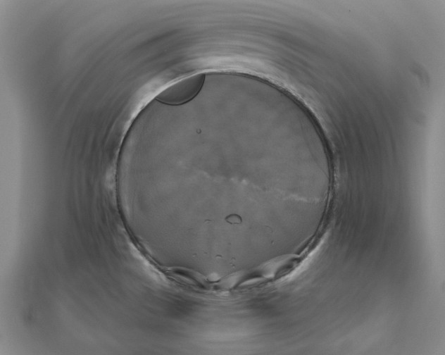 X0000110321529200906111442