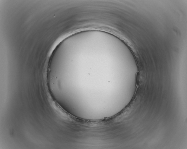 X0000110321530200906111442