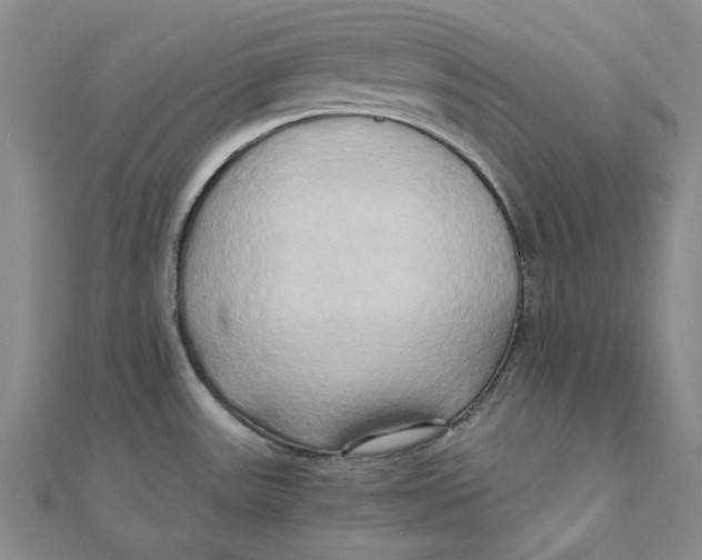 X0000110321531200906111442