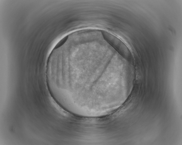 X0000110321532200906111442