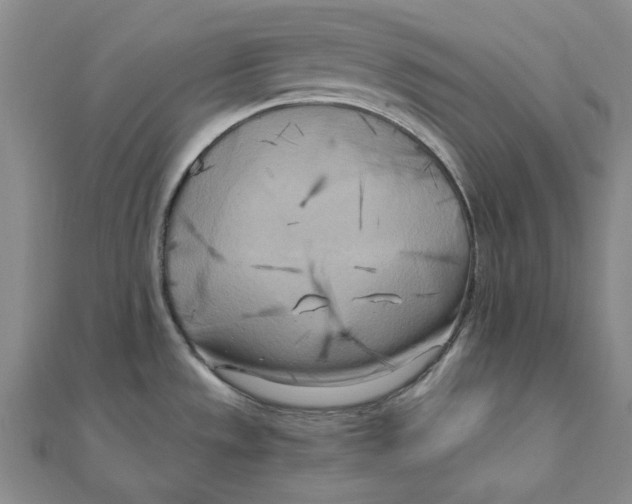 X0000110321533200906111442