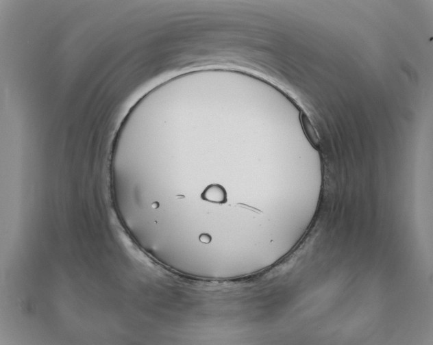 X0000110321534200906111442