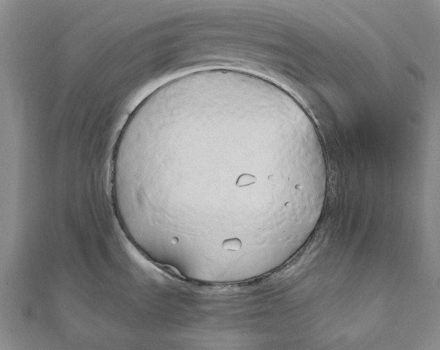 X0000110321535200906111442