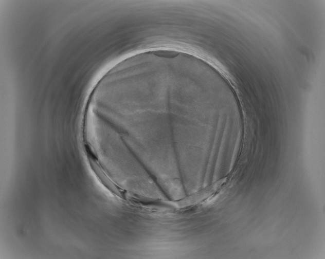 X0000110321536200906111442