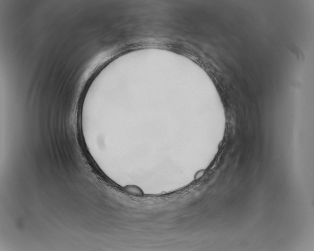 X0000110320006200906181832