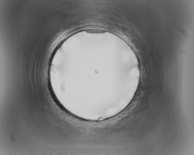 X0000110320007200906181832