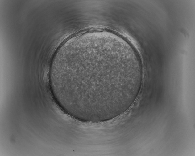 X0000110320009200906181832