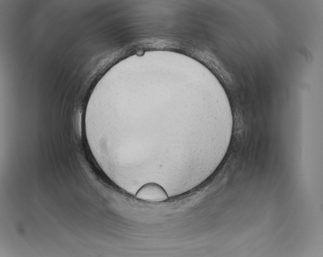 X0000110320014200906181832