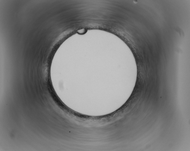 X0000110320016200906181832