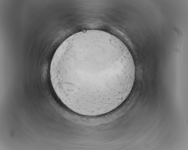 X0000110320018200906181832