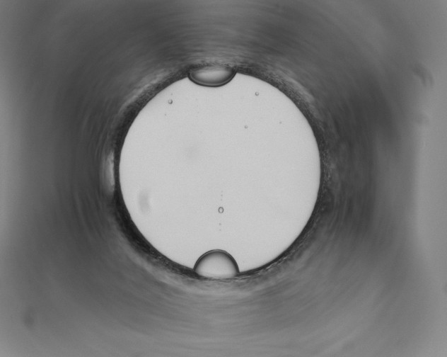 X0000110320020200906181832