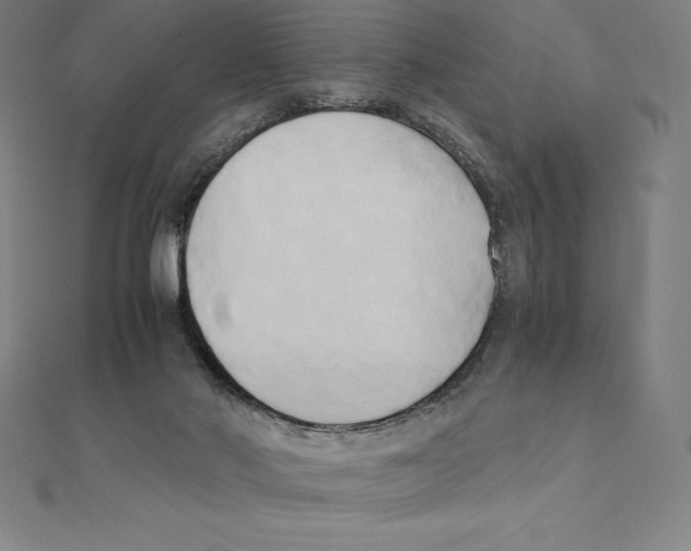 X0000110320022200906181832