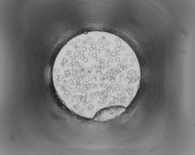 X0000110320024200906181832