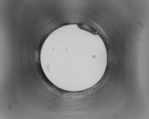 X0000110320025200906181832