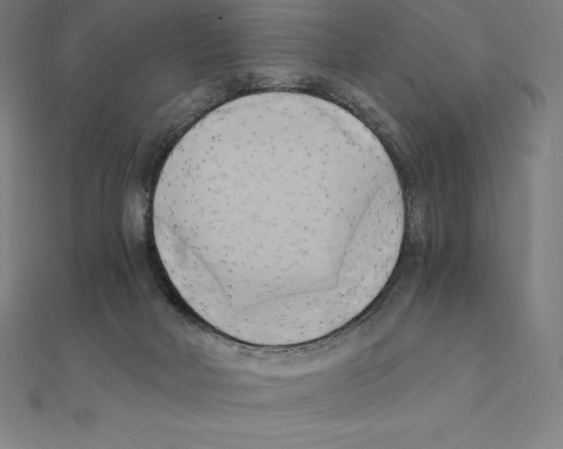 X0000110320026200906181832