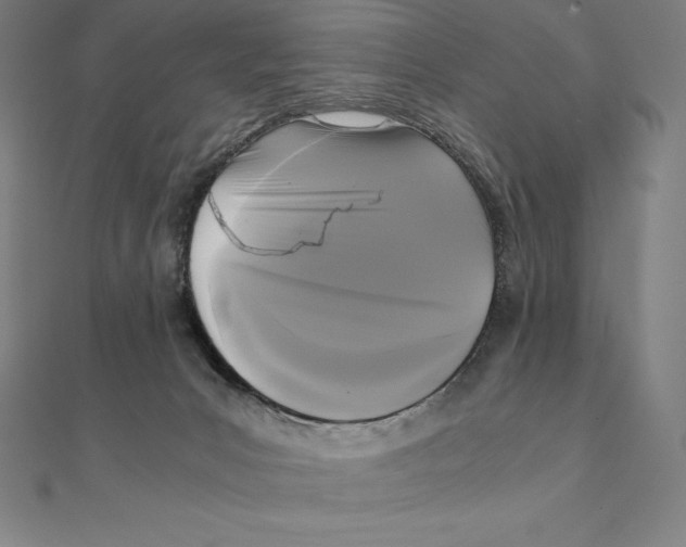 X0000110320031200906181832