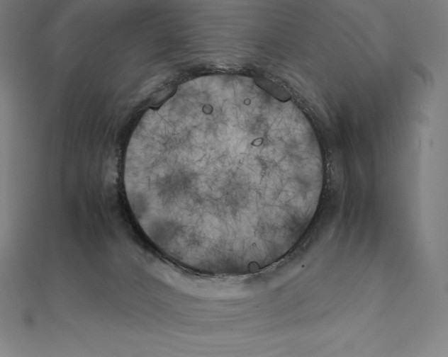 X0000110320032200906181832