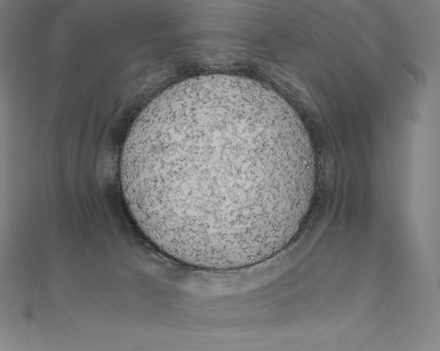 X0000110320033200906181832