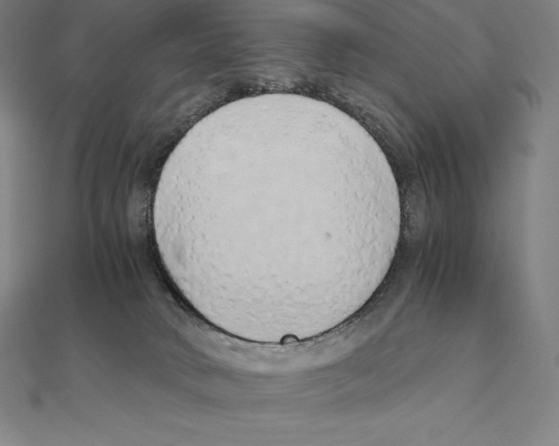 X0000110320034200906181832