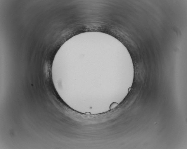 X0000110320038200906181832